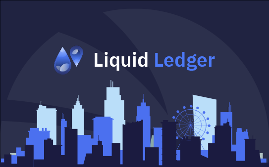 liquid ledger 2 review